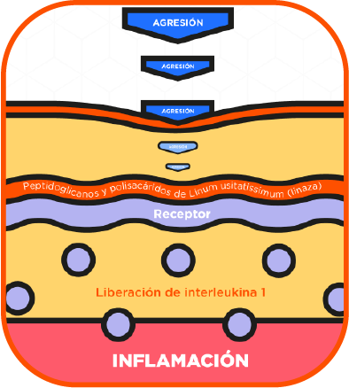 home-sec04-punto3-grafico1