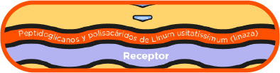 home-sec04-punto3-grafico3